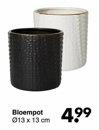 Wibra Bloempot aanbieding