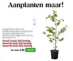 Intratuin Haagplanten aanbieding
