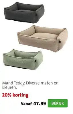 Intratuin Mand Teddy aanbieding