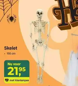Van Cranenbroek Skelet aanbieding