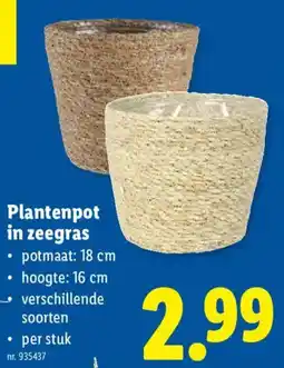 Lidl Plantenpot in zeegras aanbieding