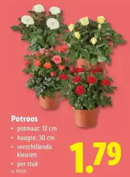 Lidl Potroos aanbieding