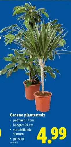 Lidl Groene plantenmix aanbieding