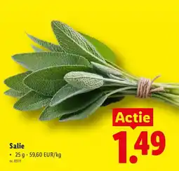 Lidl Salie aanbieding