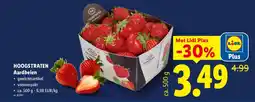 Lidl Hoogstraten aardbeien aanbieding