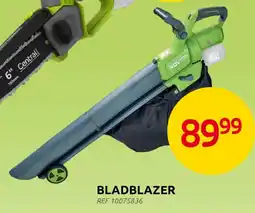 Brico Central Park Bladblazer aanbieding