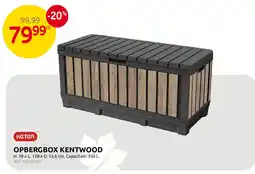 Brico Opbergbox kentwood aanbieding