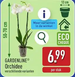 ALDI Gardenline Orchidee aanbieding