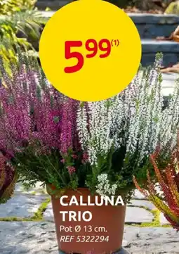 Brico Calluna trio aanbieding