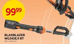 Brico Worx Bladblazer WG543E.9 BT aanbieding