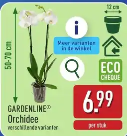 ALDI Gardenline orchidee aanbieding