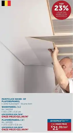 Zelfbouwmarkt paintclick wand- of plafondpaneel aanbieding
