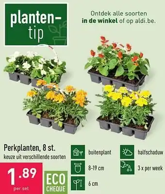 Perkplanten
