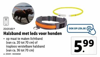 Lidl Zoofari Halsband met leds voor honden aanbieding