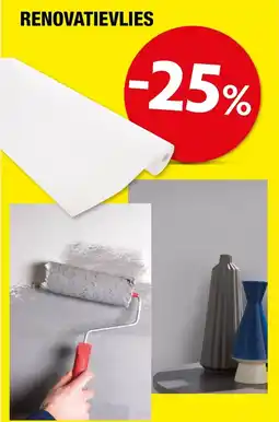 Hubo Renovatievlies aanbieding