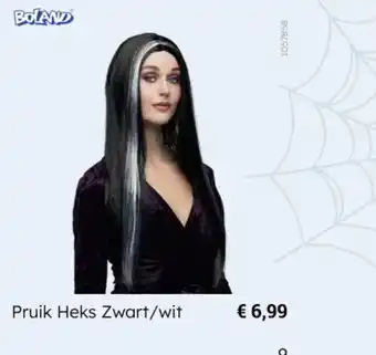 Pruik Heks Zwart/wit