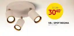 Brico Spot Regina aanbieding