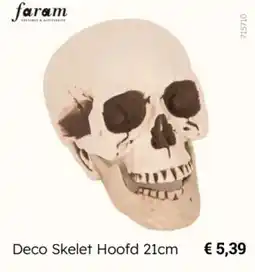 Multi bazar Deco Skelet Hoofd aanbieding