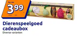 Action Dierenspeelgoed cadeaubox aanbieding