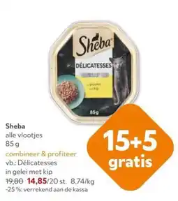 OKay Sheba alle vlootjes aanbieding