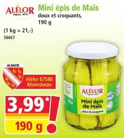 Norma Mini épis de Maïs aanbieding