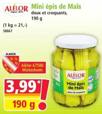 Mini épis de Maïs