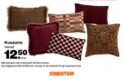 Kwantum Kussens aanbieding