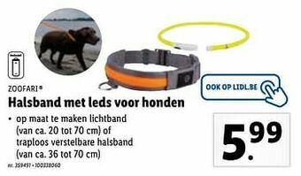 Lidl Halsband met leds voor honden aanbieding