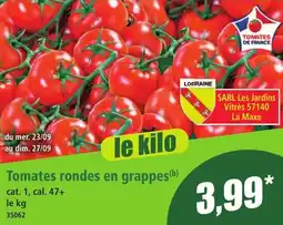 Norma Tomates rondes en grappes aanbieding