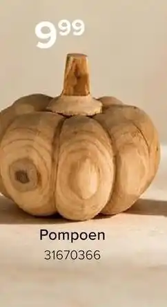 Euroshop Pompoen aanbieding