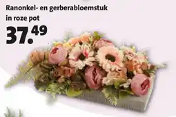 Intratuin Ranonkel- en gerberabloemstuk in roze pot aanbieding