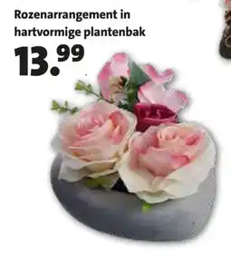 Intratuin Rozenarrangement in hartvormige plantenbak aanbieding
