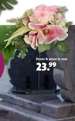 Intratuin Rozen & pioen in roze aanbieding
