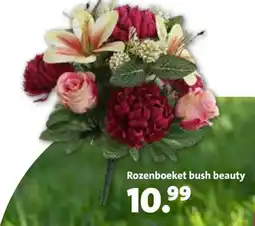 Intratuin Rozenboeket bush beauty aanbieding