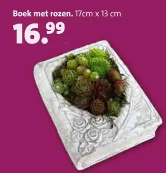 Boek met rozen