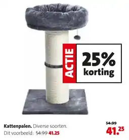 Intratuin Kattenpalen aanbieding