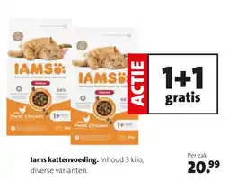 Intratuin Iams kattenvoeding aanbieding
