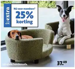 Intratuin Intratuin hondensofa aanbieding