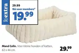 Intratuin Mand Colin aanbieding