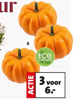 Intratuin Pompoen aanbieding