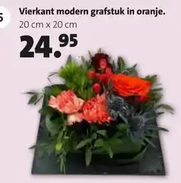 Intratuin Vierkant modern grafstuk aanbieding