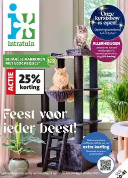 Intratuin kattenspeeltoestel aanbieding