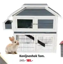 Intratuin Konijnenhok Tom. aanbieding