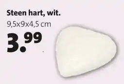 Intratuin Steen hart, wit. aanbieding