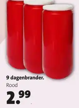 Intratuin 9 dagenbrander aanbieding
