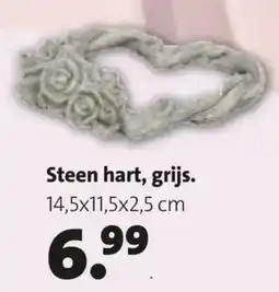 Intratuin Steen hart aanbieding