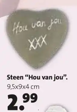 Intratuin Steen Hou van jou aanbieding