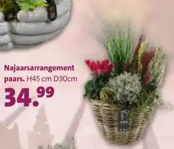 Intratuin Najaarsarrangement aanbieding