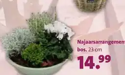 Intratuin Najaarsarrangement aanbieding