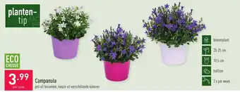 Campanula pot uit keramiek